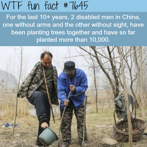 jia haixia and jia wenqi - Wtf fun fact For the last 10 years, 2 disabled men in China, one without arms and the other without sight, have been planting trees together and have so far planted more than 10,000.