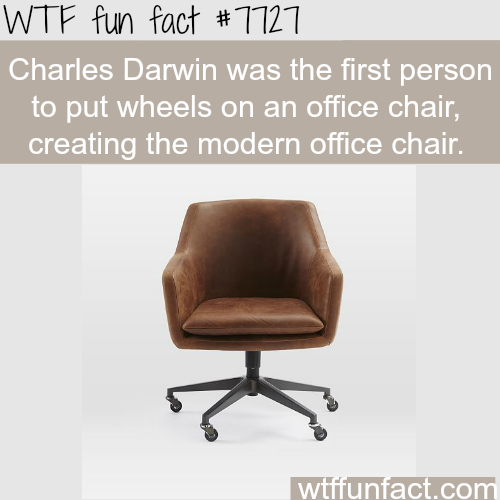charles darwin fun facts - Wtf fun fact Charles Darwin was the first person to put wheels on an office chair, creating the modern office chair. wtffunfact.com