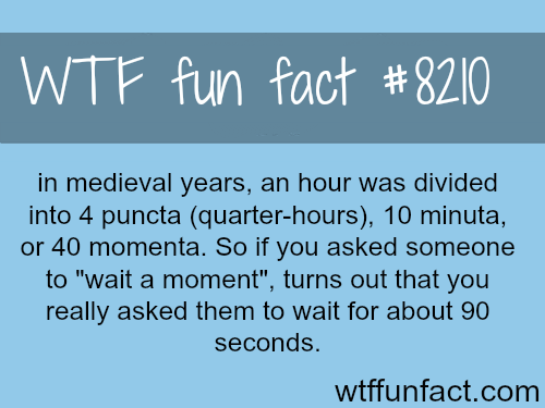 stadium australia - Wtf fun fact in medieval years, an hour was divided into 4 puncta quarterhours, 10 minuta, or 40 momenta. So if you asked someone to "wait a moment", turns out that you really asked them to wait for about 90 seconds. wtffunfact.com