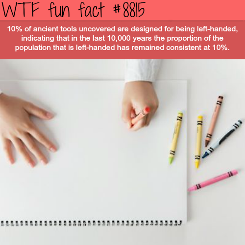 left handed fun facts - Wtf fun fact 10% of ancient tools uncovered are designed for being lefthanded, indicating that in the last 10,000 years the proportion of the population that is lefthanded has remained consistent at 10%.