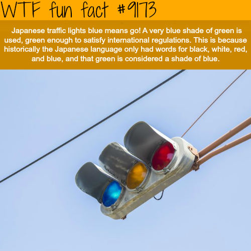 blue traffic signal light - Wtf fun fact Japanese traffic lights blue means go! A very blue shade of green is used, green enough to satisfy international regulations. This is because historically the Japanese language only had words for black, white, red,