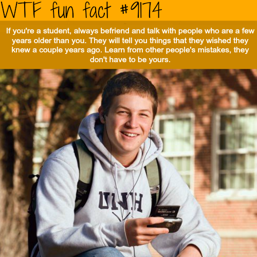 college freshman meme - Wtf fun fact If you're a student, always befriend and talk with people who are a few years older than you. They will tell you things that they wished they knew a couple years ago. Learn from other people's mistakes, they don't have