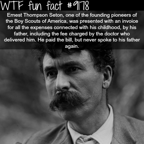 20 Fun Facts to Stick in Your Head