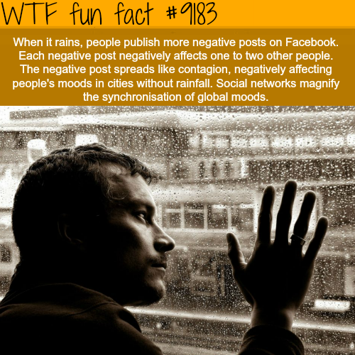 20 Fun Facts to Stick in Your Head