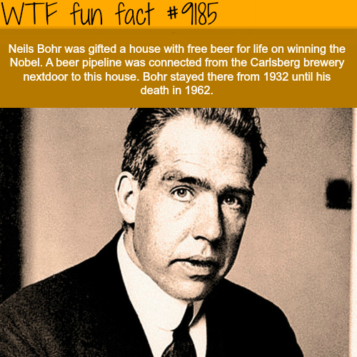 20 Fun Facts to Stick in Your Head