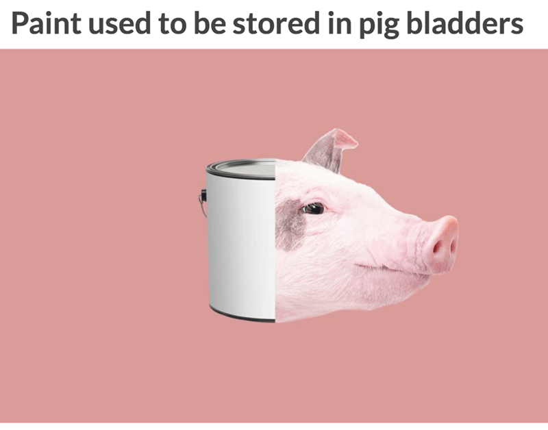 pig - Paint used to be stored in pig bladders