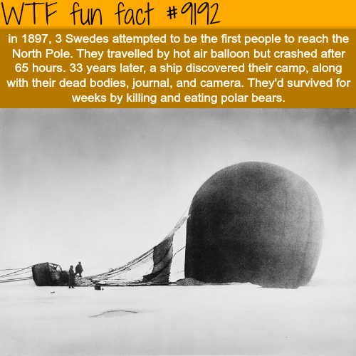 wtf fun facts - Wtf fun fact in 1897, 3 Swedes attempted to be the first people to reach the North Pole. They travelled by hot air balloon but crashed after 65 hours. 33 years later, a ship discovered their camp, along with their dead bodies, journal, and