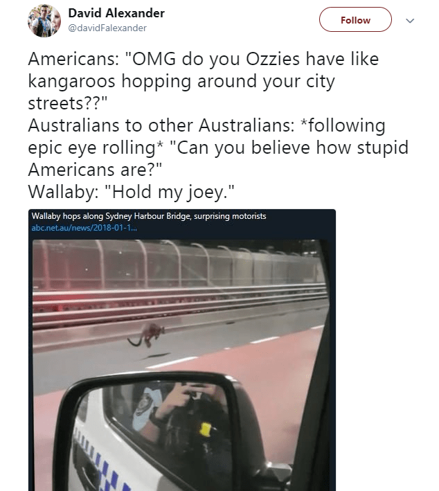 vehicle door - David Alexander Americans "Omg do you Ozzies have kangaroos hopping around your city streets??" Australians to other Australians ing epic eye rolling "Can you believe how stupid Americans are?" Wallaby "Hold my joey." Wallaby hops along Syd