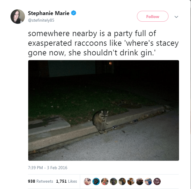 Stephanie Marie somewhere nearby is a party full of exasperated raccoons 'where's stacey gone now, she shouldn't drink gin.' 938 1,751 938 1,751 @ 0 9