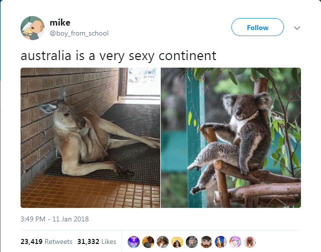 koala crossing legs - mike australia is a very sexy continent 23,419 31,332 23,419 31,332 92 a Ooo.