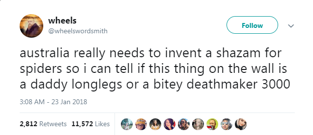 wheels v australia really needs to invent a shazam for spiders so i can tell if this thing on the wall is a daddy longlegs or a bitey deathmaker 3000 2,812 11,572 G90000990