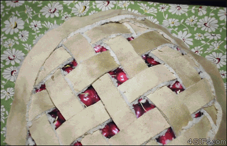 Caturday gif of a cat sleeping in an apple pie bed