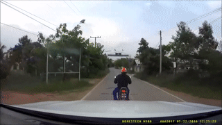 dash cam of scooter stopping to pick up a snake