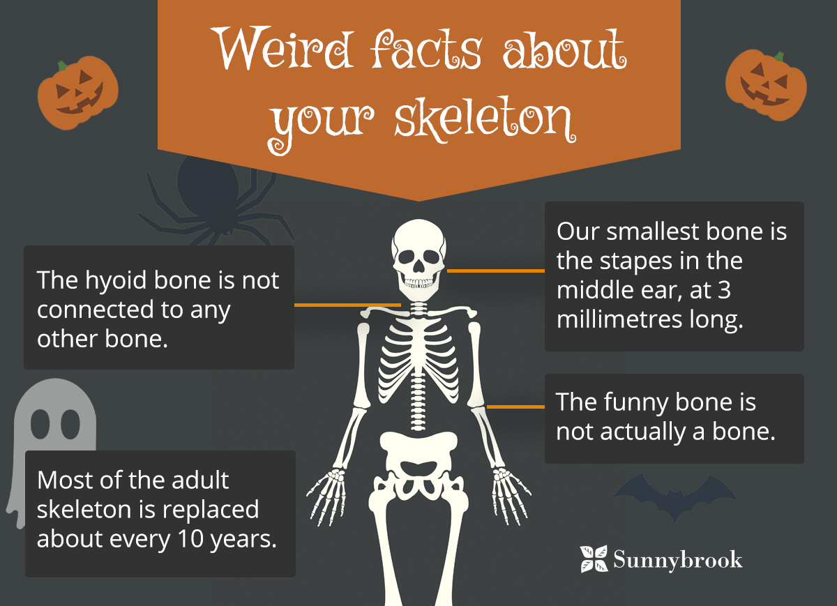 20+ Fun Factoids to Make You Feel Smarter