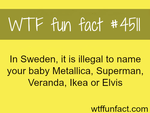 20+ Fun Factoids to Make You Feel Smarter