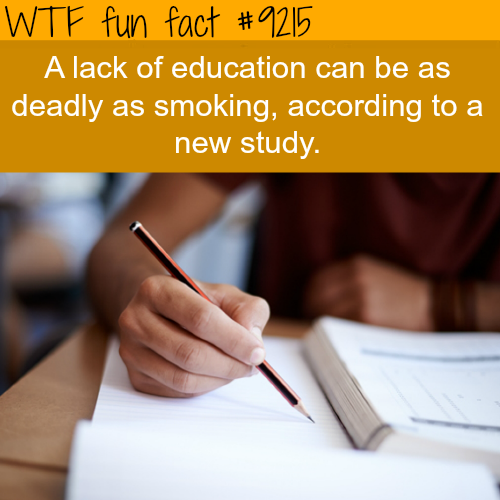 cambridge university may scrap written exams due - Wtf fun fact A lack of education can be as deadly as smoking, according to a new study.