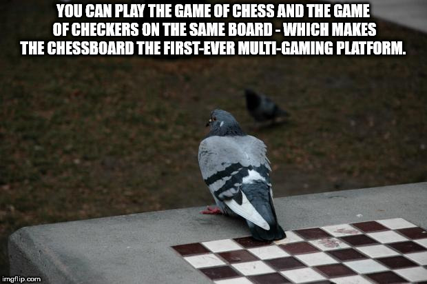 You Can Play The Game Of Chess And The Game Of Checkers On The Same Board Which Makes The Chessboard The FirstEver MultiGaming Platform. imgflip.com