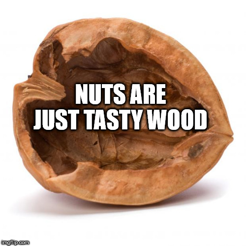 nut shell - Nuts Are Just Tasty Wood imgflip.com