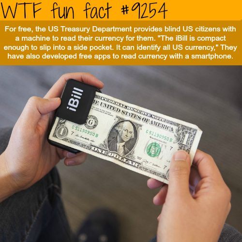 11 Fun Facts For Friday