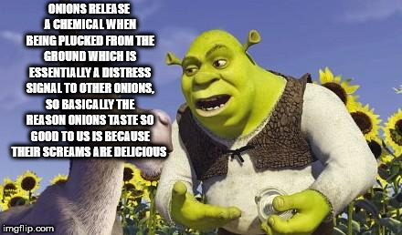 Shower thought meme about how onions are delicious because of their screams