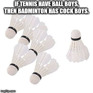 shower thought about how if tennis has ball boys then badminton has cock boys