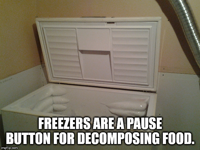 shower thought about how freezers are a pause button for decomposing food