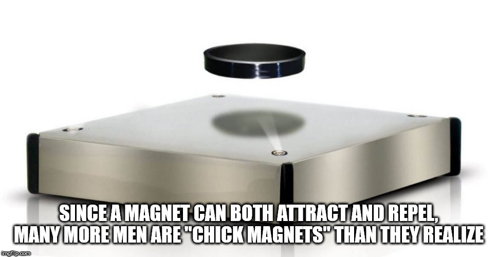 Showerthought about how a magnet can both repel and attract, more men are chick magnets than they realize