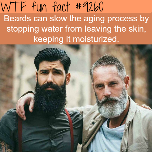 best beards - Wtf fun fact Beards can slow the aging process by stopping water from leaving the skin, keeping it moisturized.