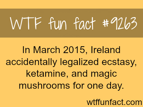 stadium australia - . Wtf fun fact In , Ireland accidentally legalized ecstasy, ketamine, and magic mushrooms for one day. wtffunfact.com