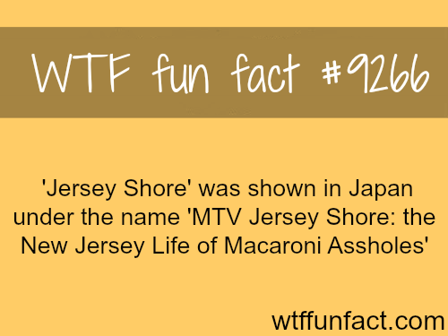 stadium australia - . Wtf fun fact 'Jersey Shore' was shown in Japan under the name 'Mtv Jersey Shore the New Jersey Life of Macaroni Assholes' wtffunfact.com