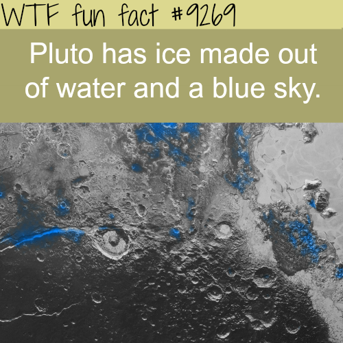 new research by nasa - Wtf fun fact Pluto has ice made out of water and a blue sky.