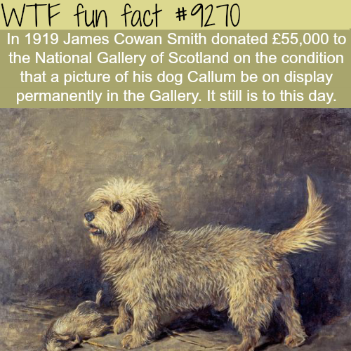 17 Fun Facts for Your Hump Day