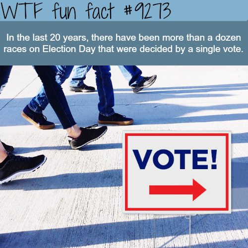 shoe - Wtf fun fact In the last 20 years, there have been more than a dozen races on Election Day that were decided by a single vote. Vote!