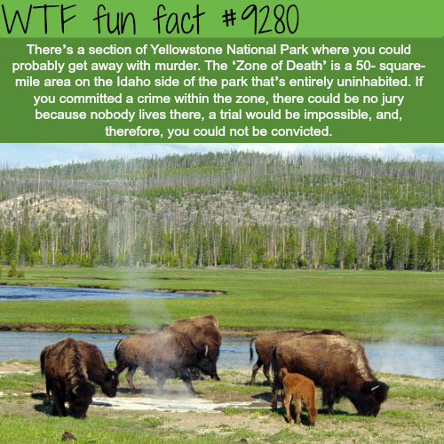 yellow stone national park - Wtf fun fact There's a section of Yellowstone National Park where you could probably get away with murder. The Zone of Death' is a 50square mile area on the Idaho side of the park that's entirely uninhabited. If you committed 