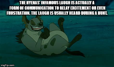 cartoon - The Hyenas' Infamous Laugh Is Actually A Form Of Communication To Relay Excitement Or Even Frustration. The Laugh Is Usually Heard During A Hunl imgflip.com