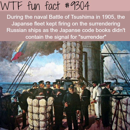 15 Fun Facts to Buff Your Brain