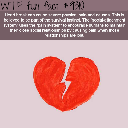 15 Fun Facts to Buff Your Brain