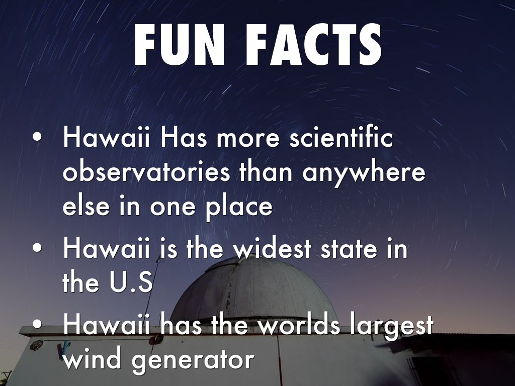 15 Fun Facts to Buff Your Brain