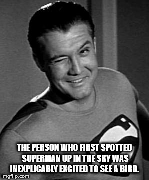 faster than a speeding bullet meme - The Person Who Arst Spotted Superman Up In The Sky Was Inexplicably Excited To See A Bird. imgflip.com