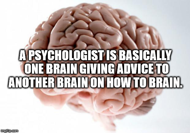 troll brain - A Psychologist Is Basically One Brain Giving Advice To Another Brain On How To Brain. imgflip.com