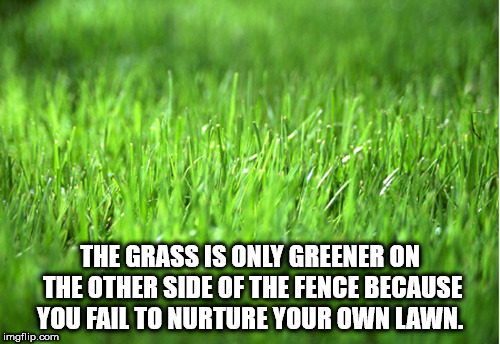 grass green - The Grass Is Only Greener On The Other Side Of The Fence Because You Fail To Nurture Your Own Lawn. imgflip.com
