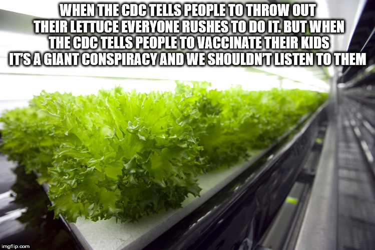 lettuce farming robots - When The Cdc Tells People To Throw Out Their Lettuce Everyone Rushes To Do It. But When The Cdc Tells People To Vaccinate Their Kids It'S A Giant Conspiracy And We Shouldnt Listen To Them imgflip.com