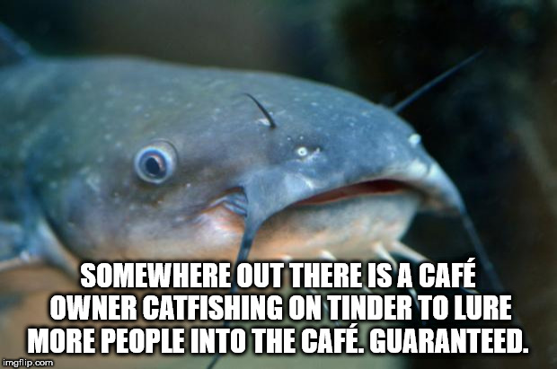 catfish - Somewhere Out There Is A Caf Owner Catfishing On Tinder To Lure More People Into The Caf. Guaranteed. imgflip.com