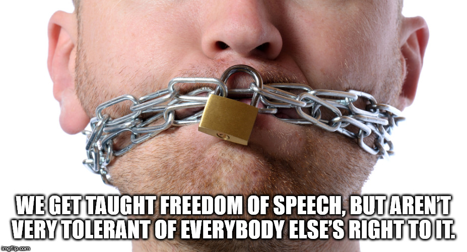 thought you were never coming - We Get Taught Freedom Of Speech, But Arent Very Tolerant Of Everybody Else'S Right To It. imgflip.com