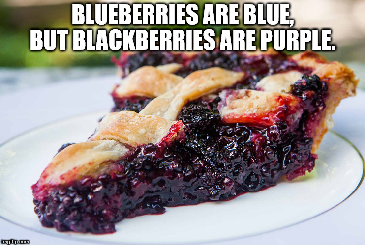 blackberry pie - Blueberries Are Blue But Blackberries Are Purple. imgflip.com