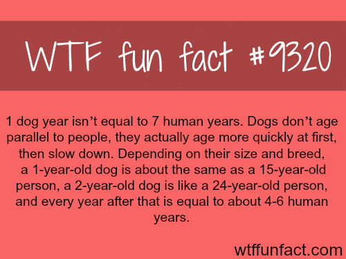 22 Fun Facts