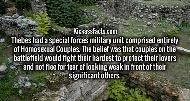 wtf facts - vegetation - KickassFacts.com Thebes had a special forces military unit comprised entirely of Homosexual Couples. The belief was that couples on the battlefield would fight their hardest to protect their lovers and not flee for fear of looking