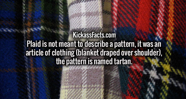 wtf facts - KickassFacts.com Plaid is not meant to describe a pattern, it was an article of clothing blanket draped over shoulder, the pattern is named tartan.