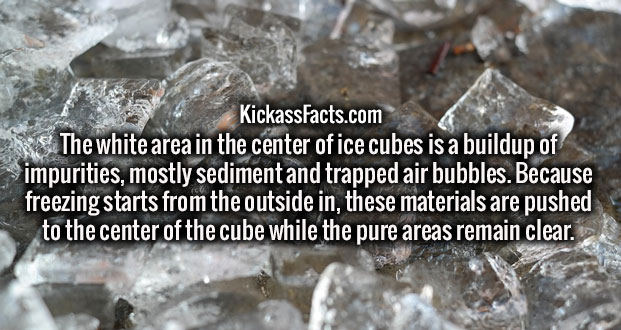 wtf facts - Ice cube - KickassFacts.com The white area in the center of ice cubes is a buildup of impurities, mostly sediment and trapped air bubbles. Because freezing starts from the outside in, these materials are pushed to the center of the cube while