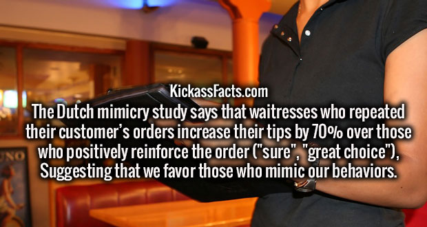 wtf facts - Restaurant - KickassFacts.com The Dutch mimicry study says that waitresses who repeated their customer's orders increase their tips by 70% over those who positively reinforce the order